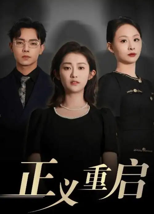 沉默证人 热播剧在线观看